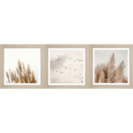 Bönninghoff Gerahmtes Bild Gräser B/L: ca. 23x23 cm