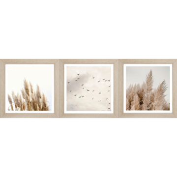 Bönninghoff Gerahmtes Bild Gräser B/L: ca. 23x23 cm