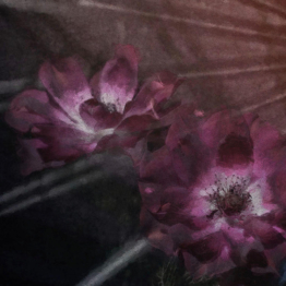 Komar Fototapete Flemish Flowers D: ca. 125 cm