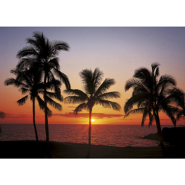 Komar Fototapete Hawaii B/L: ca. 368x254 cm